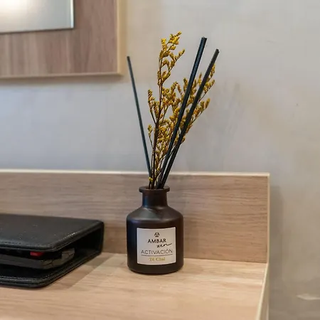 B&B 드라고 도로